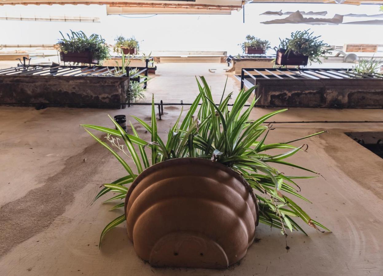 La Casa Degli Angeli Bed and Breakfast Σαλέρνο Εξωτερικό φωτογραφία