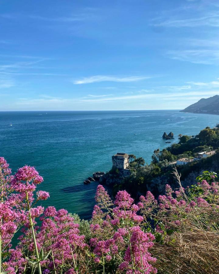 La Casa Degli Angeli Bed and Breakfast Σαλέρνο Εξωτερικό φωτογραφία